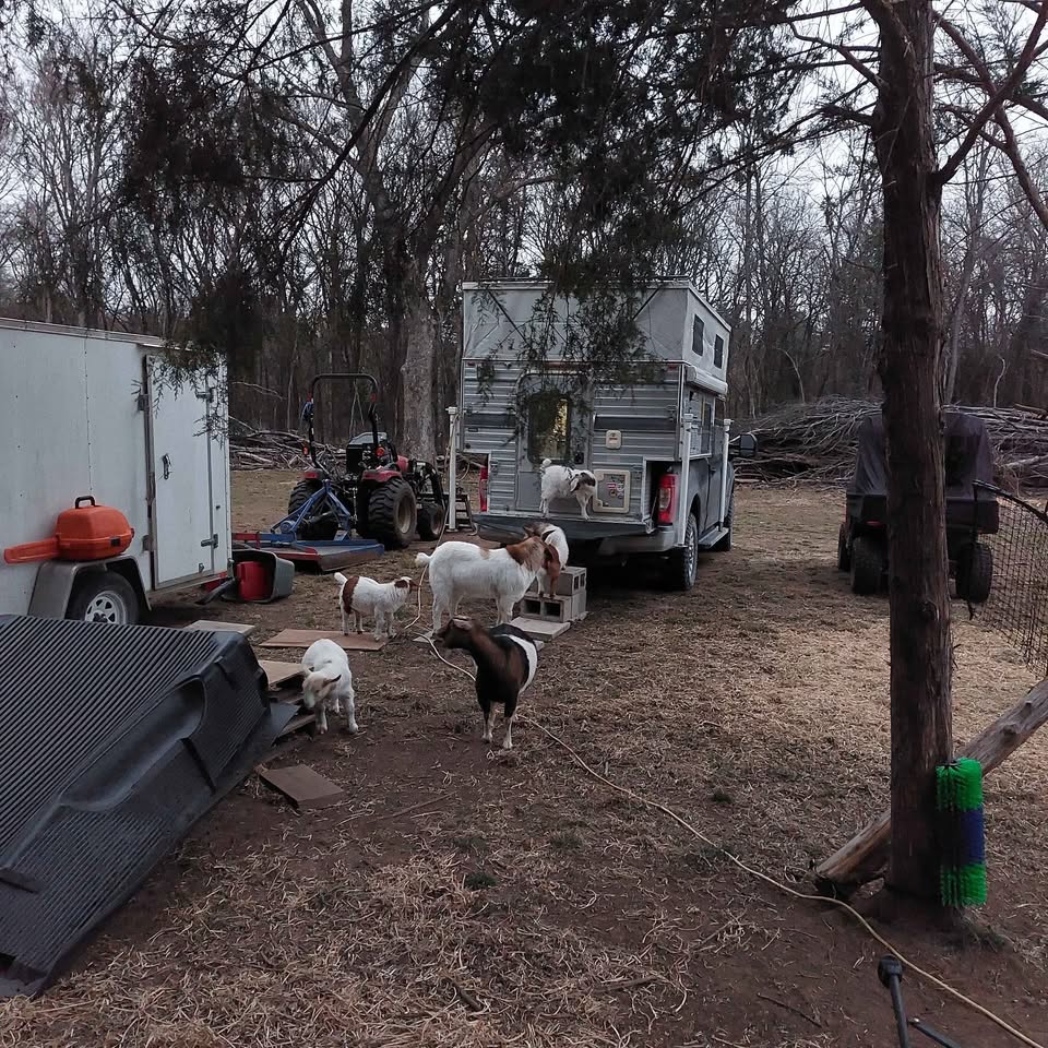 2015 Four Wheel Camper grandby in The Colony, TX (photo 3) — photo 3
