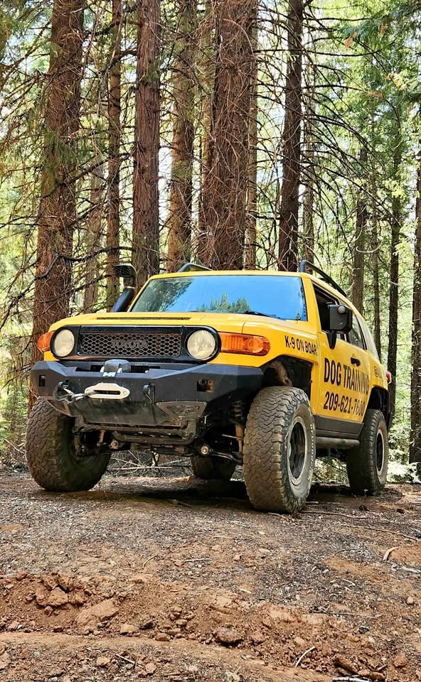 2007 Toyota FJ Cruiser · Sport Utility 2D (photo 1) — photo 1