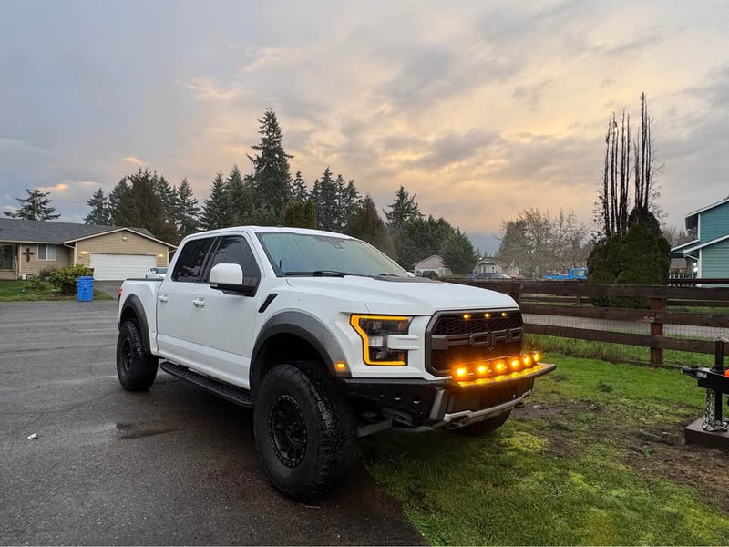 2017 Ford F-150 · Raptor Pickup 4D 5 1/2 ft (photo 9) — photo 9