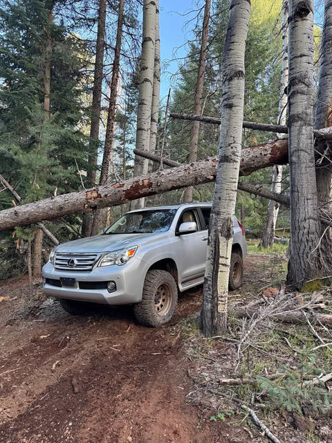2010 Lexus GX · GX 460 Luxury Sport Utility 4D