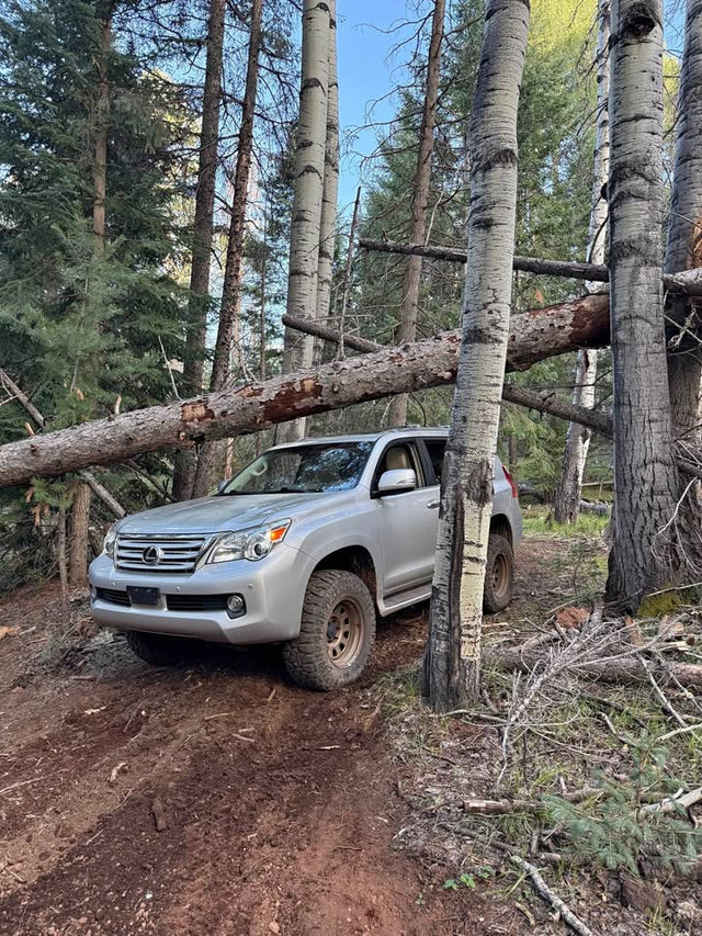 2010 Lexus GX · GX 460 Luxury Sport Utility 4D in Show Low, AZ (photo 1)