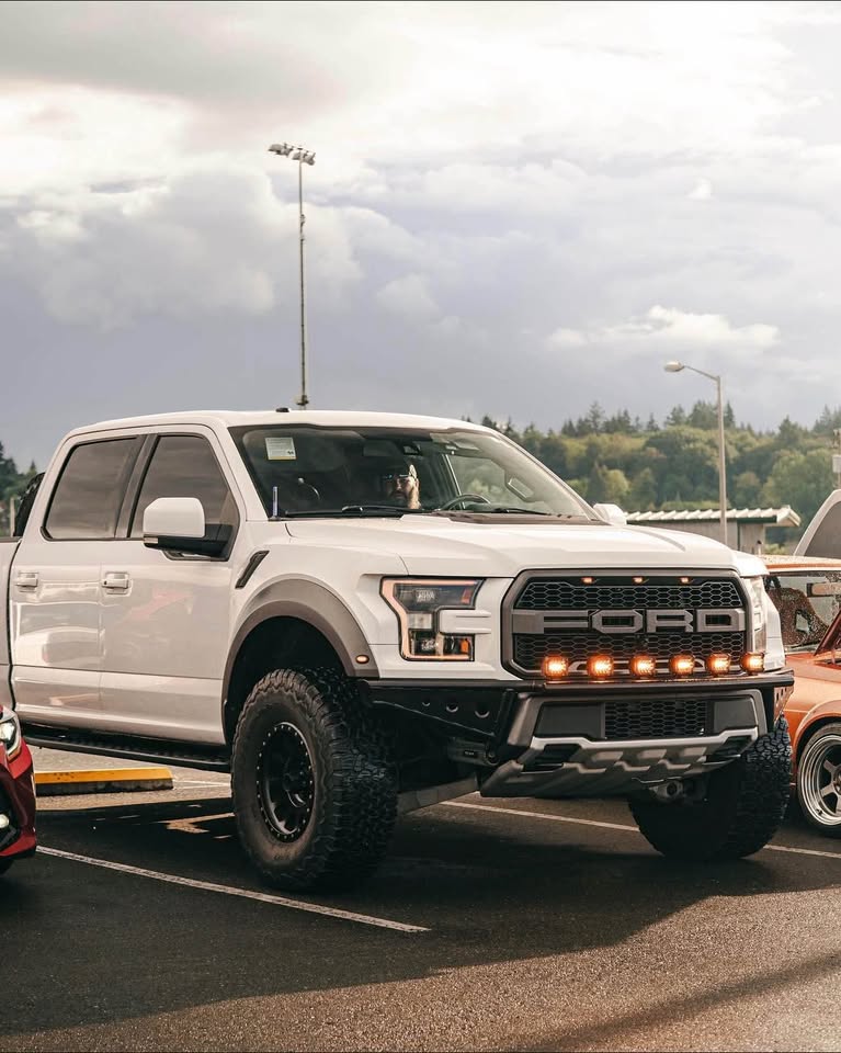 2017 Ford F-150 · Raptor Pickup 4D 5 1/2 ft (photo 6) — photo 6
