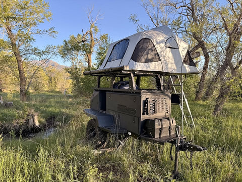 2024 Taxa Woolly+Bear+Overland