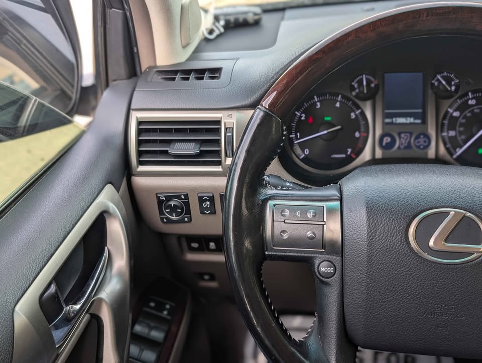 2017 Lexus GX · GX 460 Luxury Sport Utility 4D in Kyle, TX (photo 10)