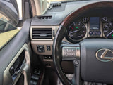2017 Lexus GX · GX 460 Luxury Sport Utility 4D in Kyle, TX (photo 10)