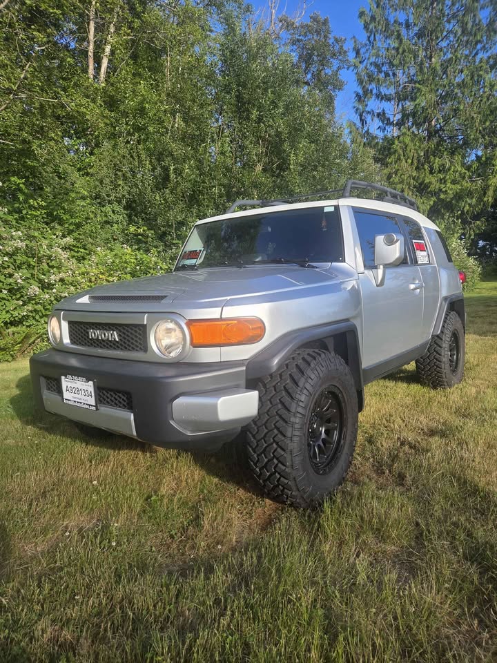 2008 Toyota FJ Cruiser (photo 3) — photo 3