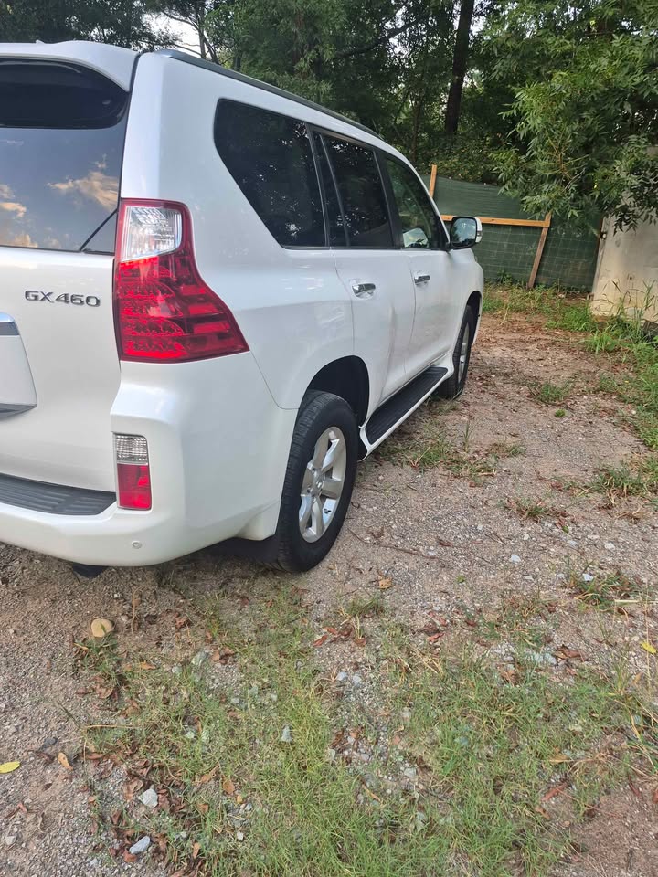 2010 Lexus GX · GX 460 Luxury Sport Utility 4D in Hoover, AL (photo 6) — photo 6