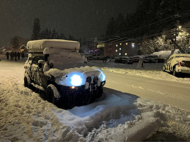 2008 Toyota FJ Cruiser — photo 3