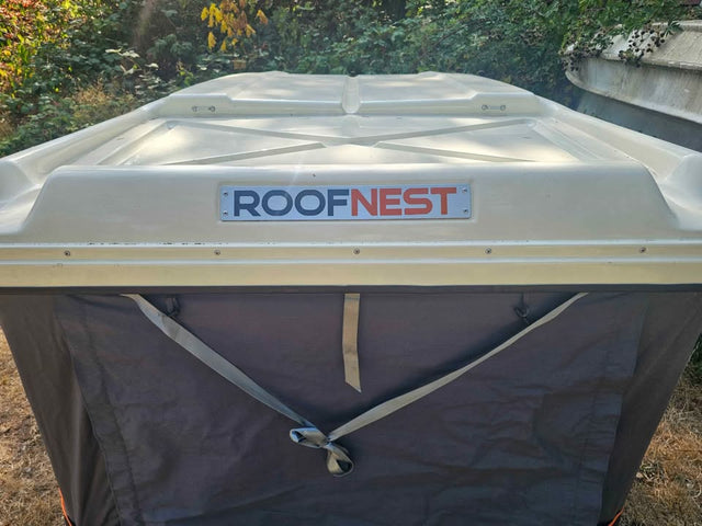 Roofnest Sparrow — photo 2