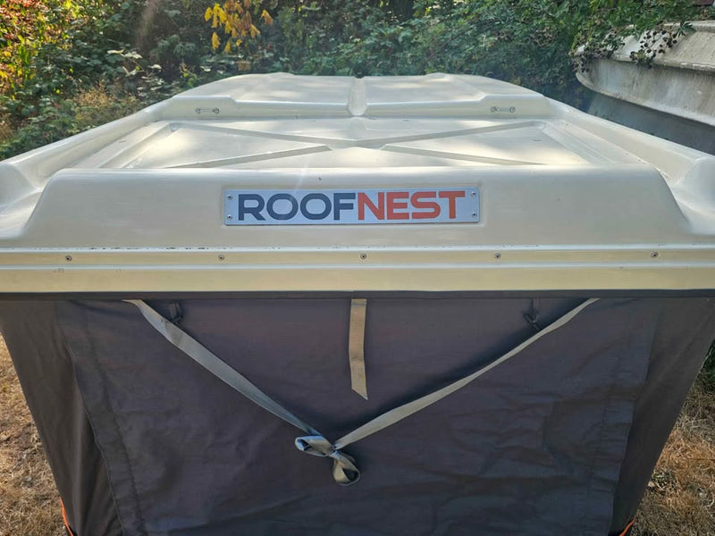 Roofnest Sparrow in Shelton, WA (photo 2) — photo 2