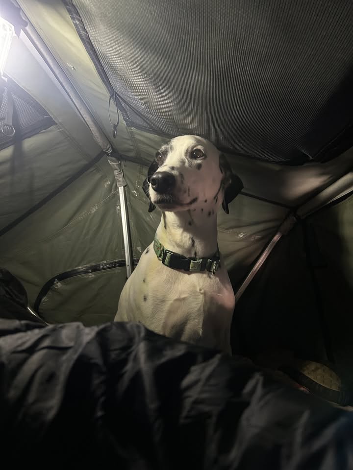 Thule Tepui Rooftop Tent in Vallejo, CA (photo 6) — photo 6