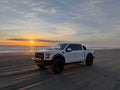 2017 Ford F-150 · Raptor Pickup 4D 5 1/2 ft