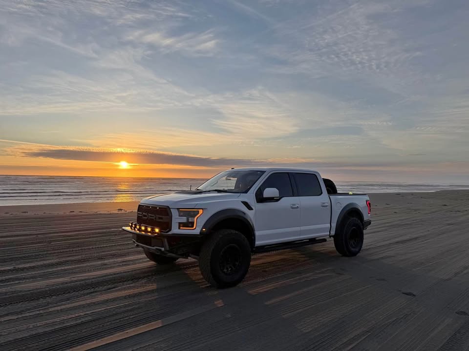 2017 Ford F-150 · Raptor Pickup 4D 5 1/2 ft (photo 1)