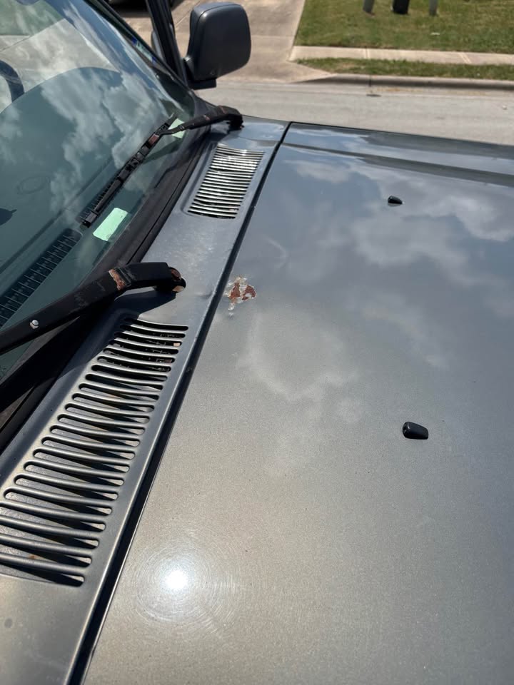 1995 Toyota Land Cruiser in Round Rock, TX (photo 8) — photo 8