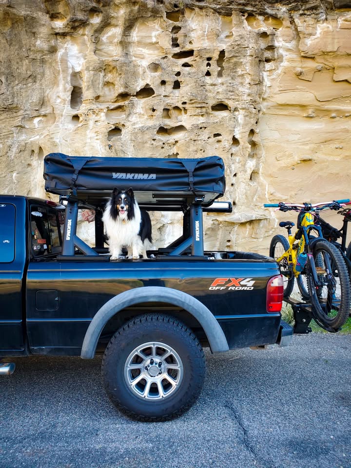 Yakima Skyrise HD Rooftop Tent - Flash Sale in Carbondale, CO (photo 5) — photo 5