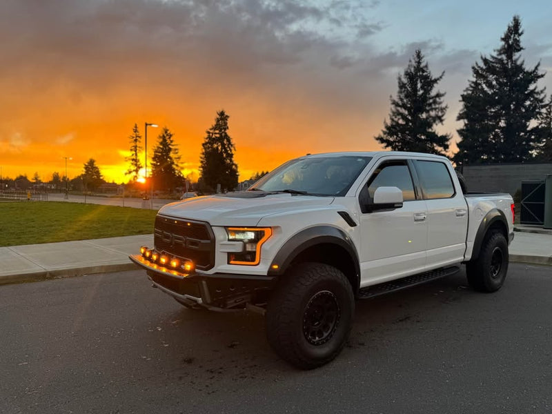 2017 Ford F-150 · Raptor Pickup 4D 5 1/2 ft (photo 10) — photo 10