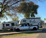 Palomino in Phoenix, AZ (photo 10)