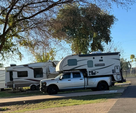 Palomino in Phoenix, AZ (photo 10)