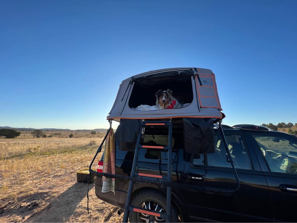 Roofnest Condor 2 XL in Littleton, CO (photo 2)