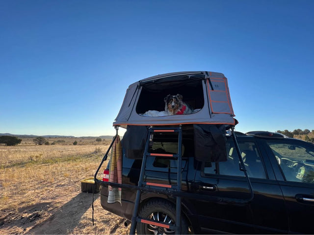 Roofnest Condor 2 XL — photo 2