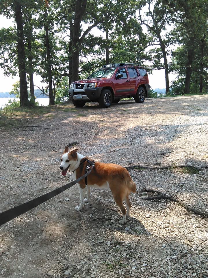 2015 Nissan Xterra Pro-4X in Springfield, MO (photo 2) — photo 2
