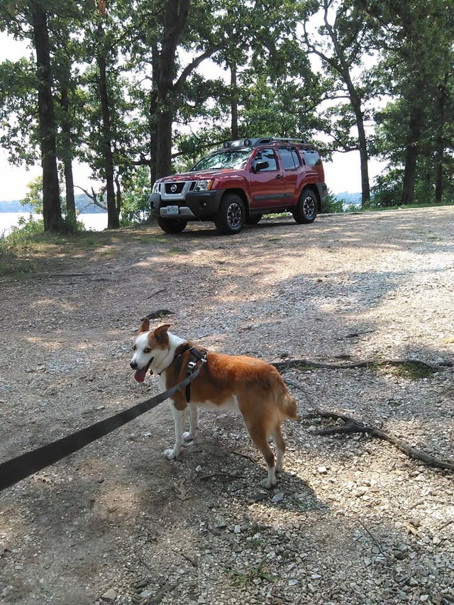 2015 Nissan Xterra Pro-4X — photo 2