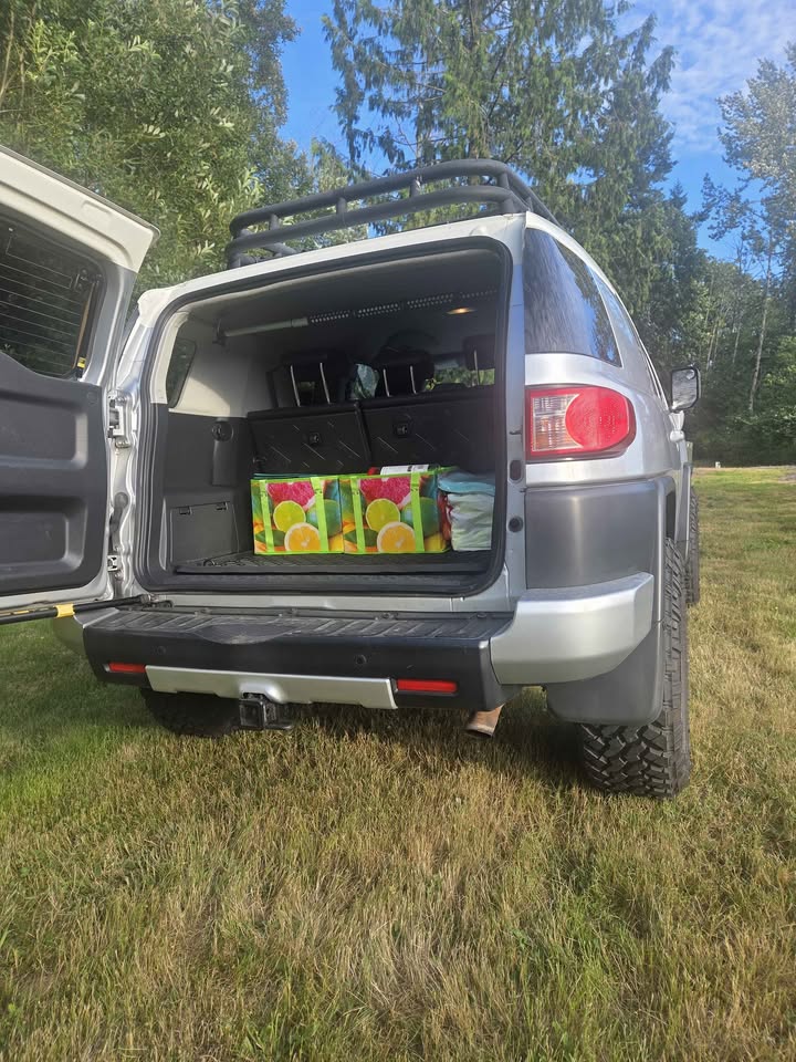 2008 Toyota FJ Cruiser (photo 6) — photo 6
