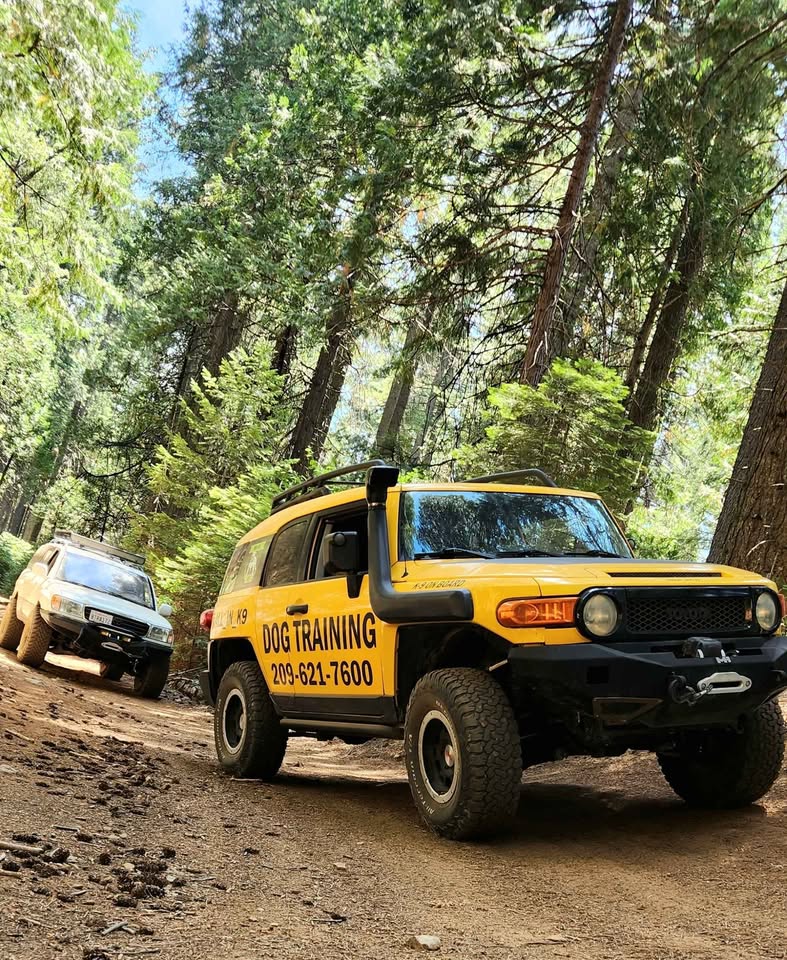 2007 Toyota FJ Cruiser · Sport Utility 2D (photo 2) — photo 2