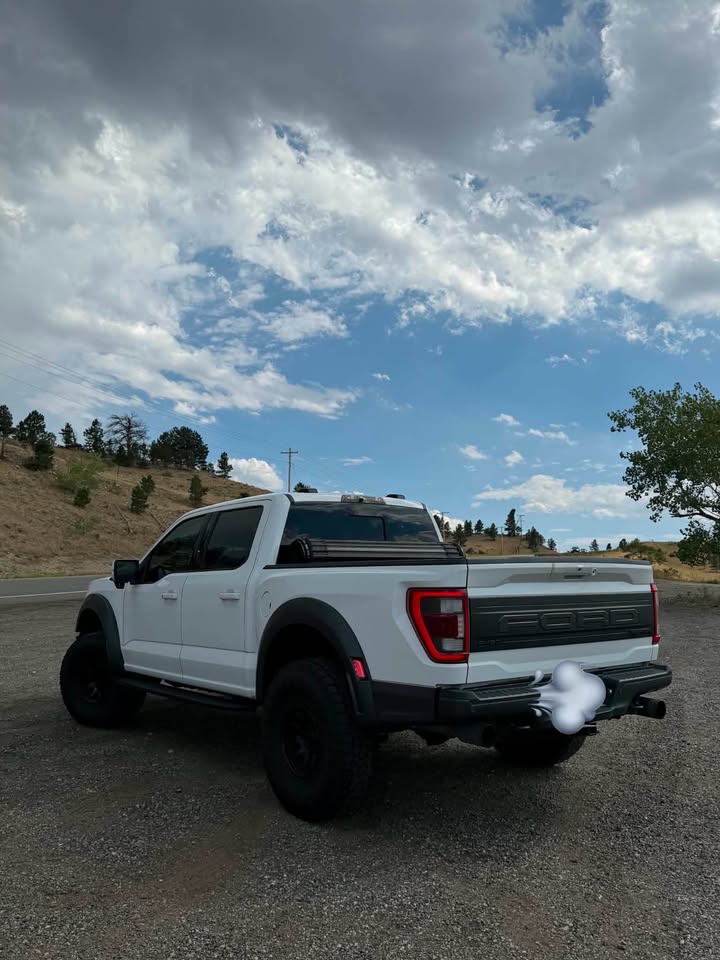2023 Ford f-150 raptor (photo 3) — photo 3