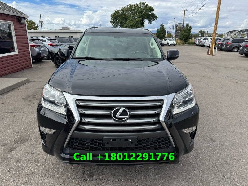 2019 Lexus GX 460 Premium B4EDB3 (photo 9) — photo 9