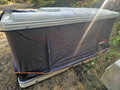 Roofnest Sparrow