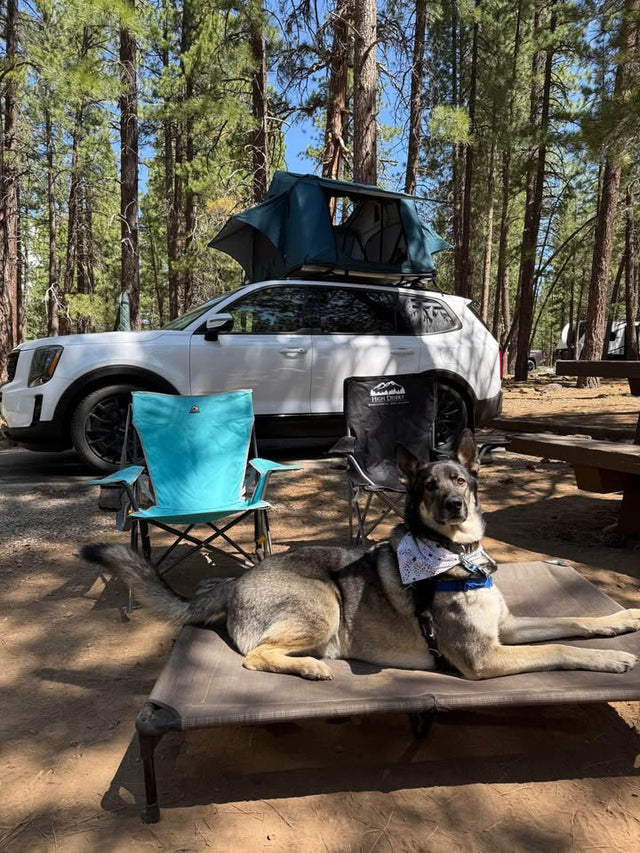 Roof Top Tent - Thule Tepui Kukenam W/Annex 3 — photo 3
