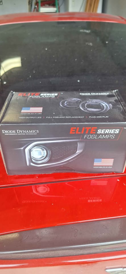 Diode Dynamics Fog Lights 2013 Focus ST — photo 2