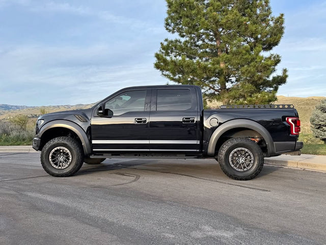 2020 Ford F150 Raptor (photo 1)