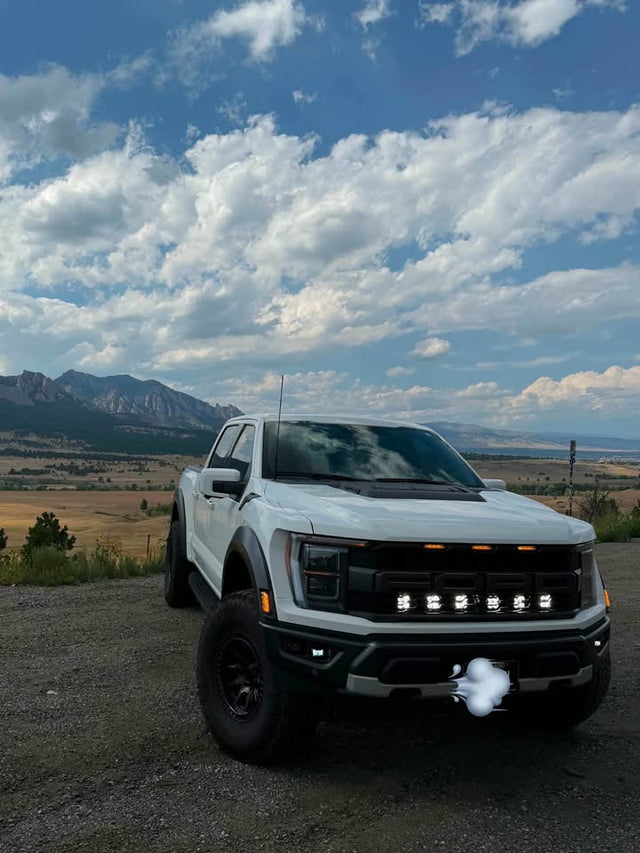 2023 Ford f-150 raptor — photo 2