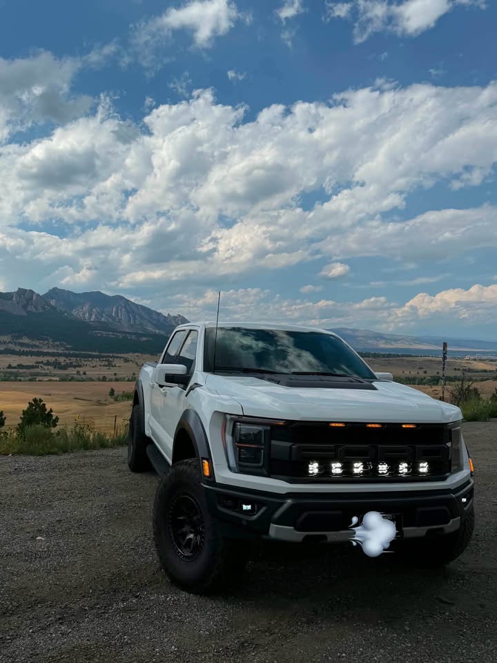 2023 Ford f-150 raptor (photo 2) — photo 2