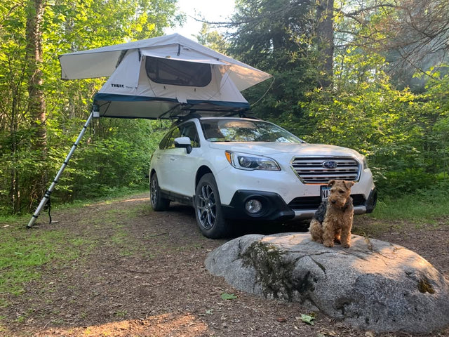 Thule Tepui LoPro 3 Ultra-Low-Profile Rooftop Tent - Excellent Condition — photo 2