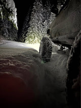 1993 Toyota 4Runner · SR5 Sport Utility 4D in Oregon City, OR (photo 6)