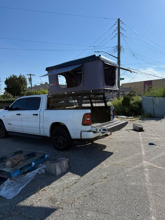 Roof nest sparrow & Bed Rack — photo 3