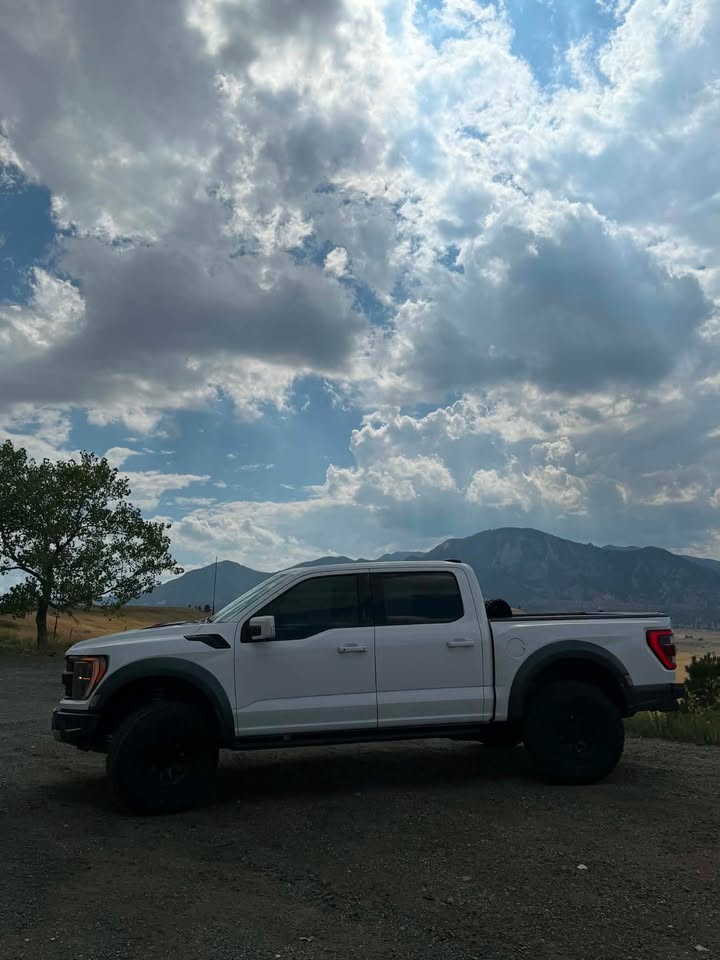 2023 Ford f-150 raptor (photo 5) — photo 5