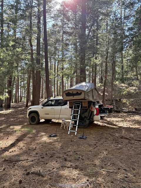 Rooftop tent and bedrack