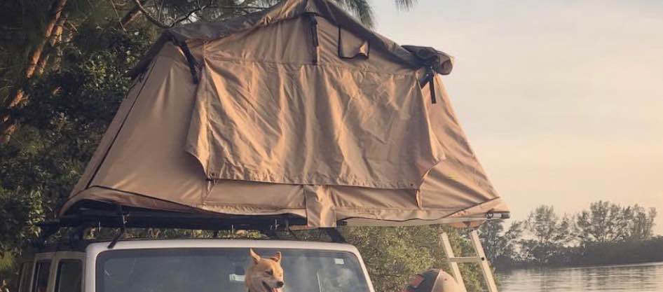 Smittybilt Overlander Roof Top Tent - 2783 in Pinellas Park, FL (photo 3) — photo 3
