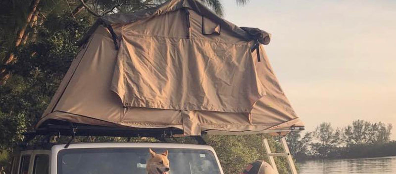 Smittybilt Overlander Roof Top Tent - 2783 in Pinellas Park, FL (photo 3) — photo 3