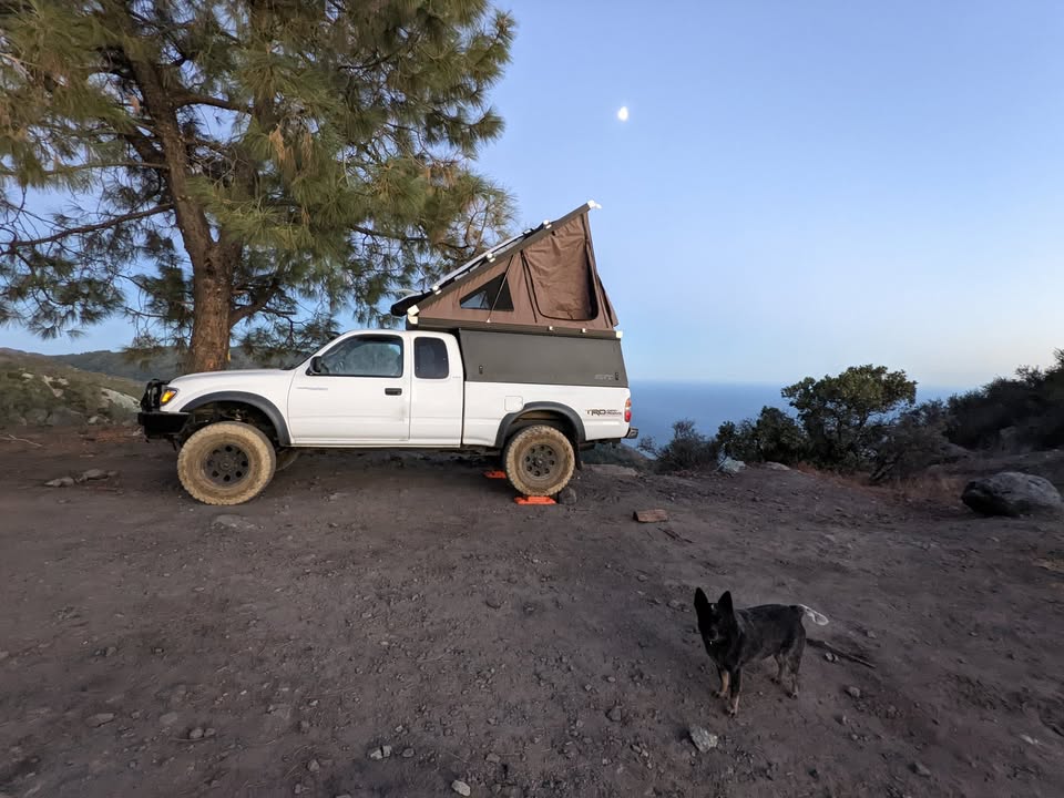 2003 Toyota Tacoma TRD in Fort Collins, CO (photo 11) — photo 11