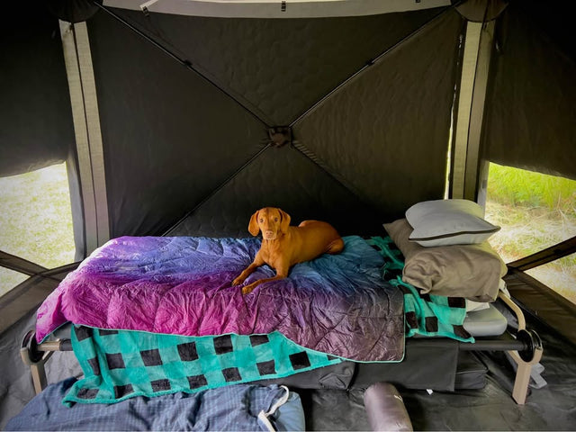 Freespirit Recreation HUB V2 Tent System (Foundation Series + Car Connect) — photo 2