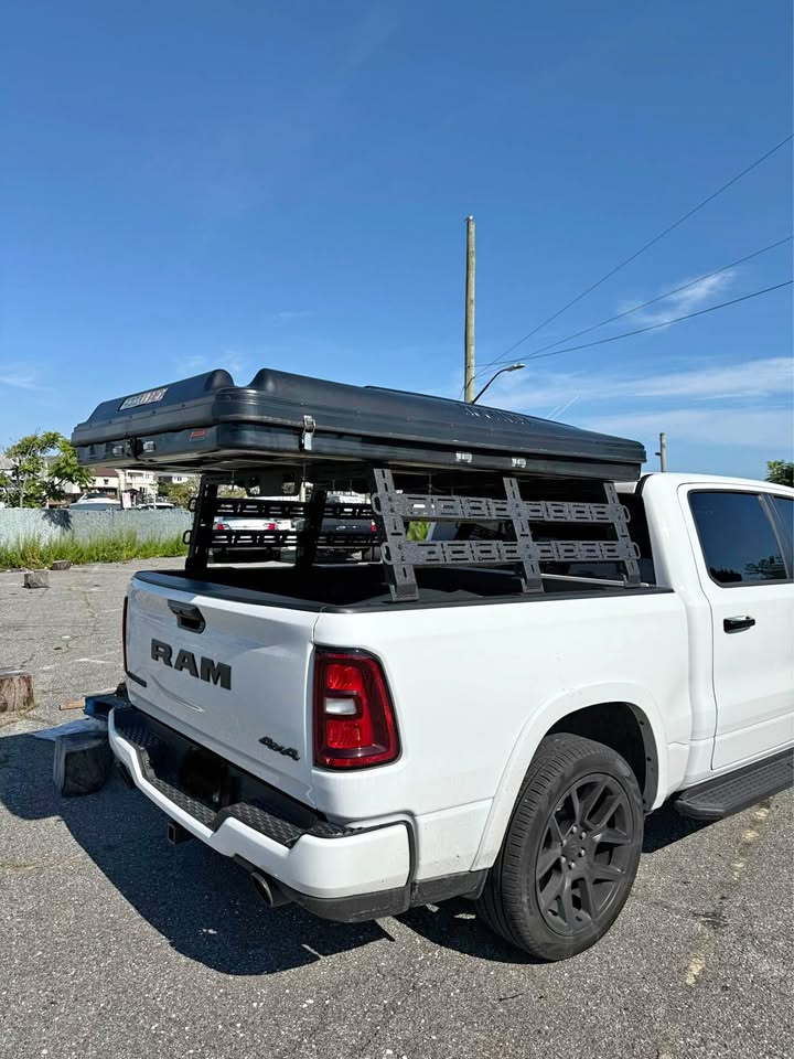Roof nest sparrow & Bed Rack in Brooklyn, NY (photo 1)