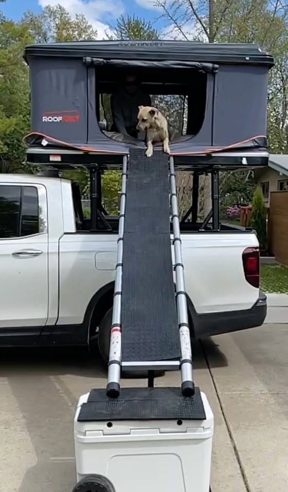 Roofnest roof top tent Sparrow XL in Grand Rapids, MI (photo 5) — photo 5