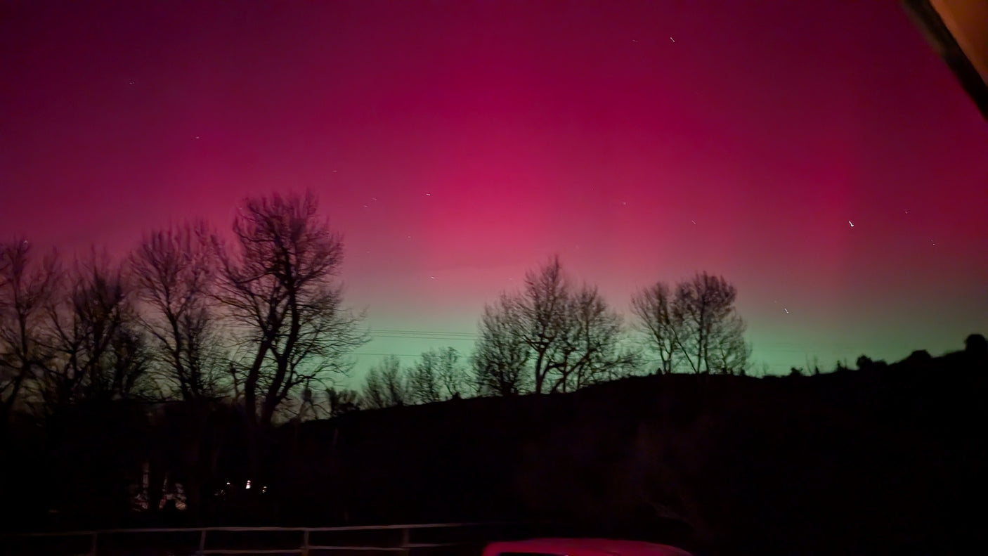 Stunning aurora borealis: a vibrant pink and green sky above silhouetted trees. Ideal for an RV rental escape.