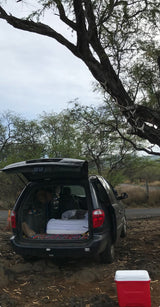 Converted minivan for an RV rental adventure, parked beneath a tree with antlers. Bed inside, cooler outside.