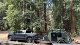 Discover the perfect RV rental: a GMC truck towing a green teardrop camper amidst towering redwoods.